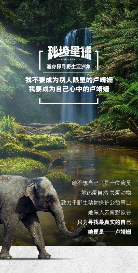 东契奇谈输球：我们比赛前段打得很有对抗 但体能下降后陷入挣扎