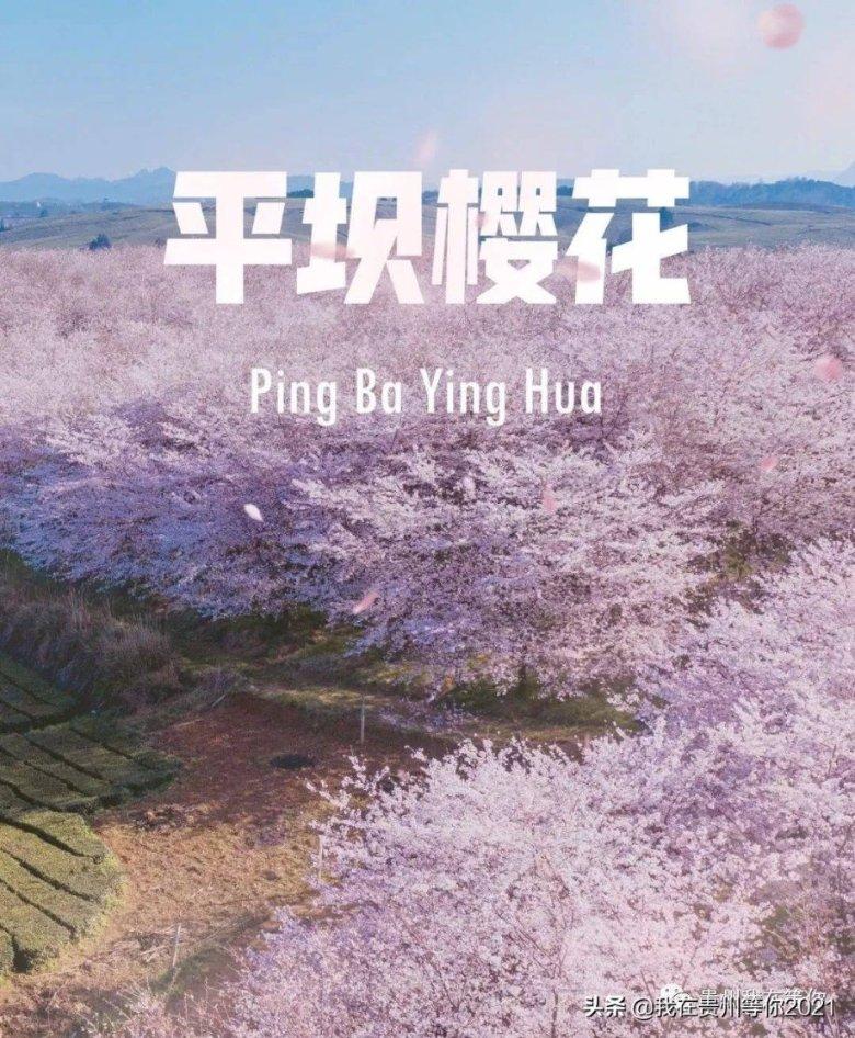 幸运女孩救援