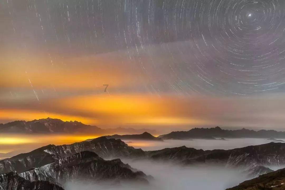 动物帮帮忙保卫家园