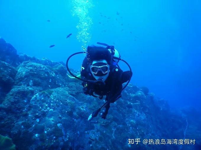 7300亿、3564亿……透过“成绩单”看经济“引擎”增长动力企稳