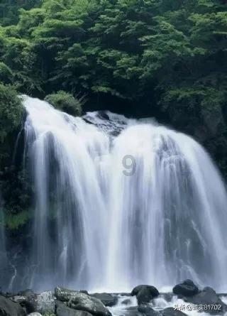 什么是完人，完人的真正含义？游戏画面