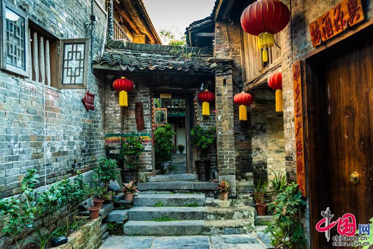 饥饿的松鼠救援